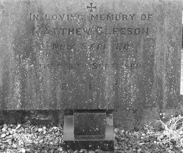 Gleeson, Matthew.jpg 253.8K